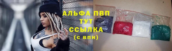 твердый Арсеньев
