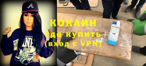 твердый Арсеньев