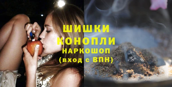 ГАЛЛЮЦИНОГЕННЫЕ ГРИБЫ Аркадак